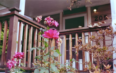 Kodak Kodacolor 200 with Voigtländer Vitessa A.