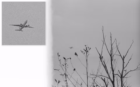 Ilford HP5+ with Nikon AI-S Nikkor 50mm 𝒇1.8 — image not sharpned. Scanned with Nikon SUPER COOLSCAN 500ED, inverted with Film Q.