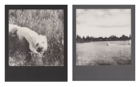 Polaroid B&W 600, shot in an unmodified SX-70.