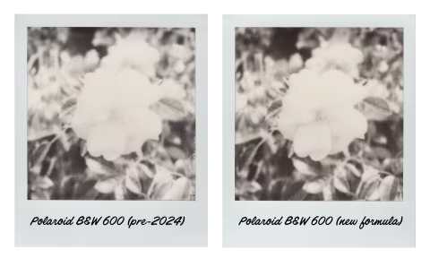 Polaroid B&W 600 (pre-2024) vs. the new Polaroid B&W 600. Shot in an unmodified Polaroid SX-70 camera.