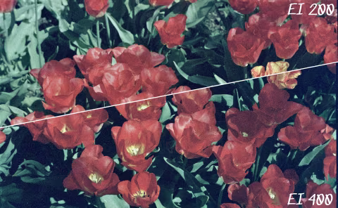 ORWO Wolfen NC 500 with Voigtländer Vitessa A. Top: metered as if it was an ISO 200 film. Bottom: metered at box speed (ISO 400).