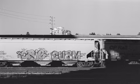 A scene with strong sunlight illuminating the graffiti message on a train car, framed with stark shadows.