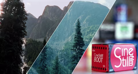 CineStill 800T. Left: colour-corrected. Middle: inverted & normalized scan W/O any adjustments.