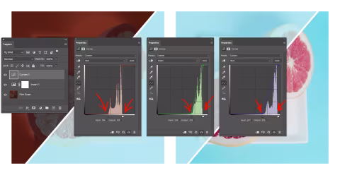 Inverting film negatives in Adobe Photoshop with histogram stretching using individual colour channels in the Curves Adjustment Layer.