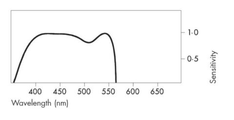 Ilford Ortho Plus 80’s visible light spectrum sensitivity graph.