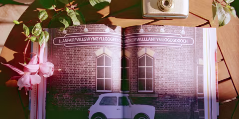 Accidentally Wes Anderson: Adventures, pp 166-167.