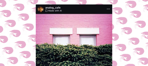 A film photo (Minolta TC-1, Kodak Ektar) labelled as “Made with AI” on Instagram. Shrimp design by brgfx/Freepik.