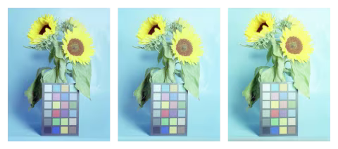 Kodak Gold exposure tests, left-to-right: normal, +1, +2. No edits applied.