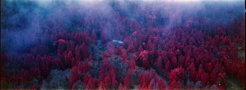 Kodak Aerochrome with Hasselbland XPan.
