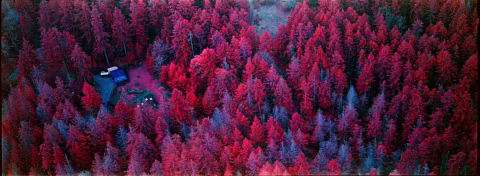 Kodak Aerochrome with Hasselbland XPan.