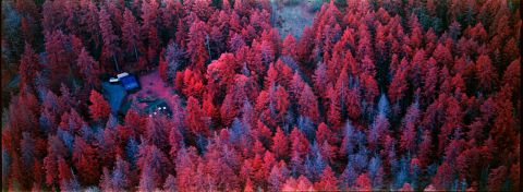 Kodak Aerochrome with Hasselbland XPan.