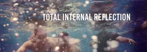 An illustration of total internal reflection at the water/air surface as seen when submerged (shot on Nikonos V).