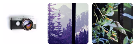 Olympus Pen, a half-frame SLR.