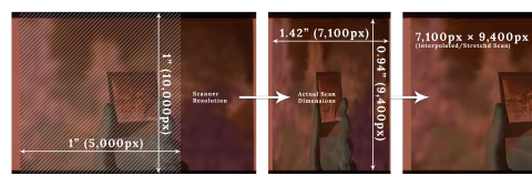 Some scanners have greater resolution in one of the dimensions (left), which produces squished image scans (middle). These images can then be stretched to produce a normal aspect ratio image (right).