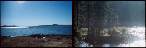 Fujichrome Provia 400 with Minolta X700 and 135mm Rokkor-X f2.8 showing some flaring (left) and loss of contrast (right).