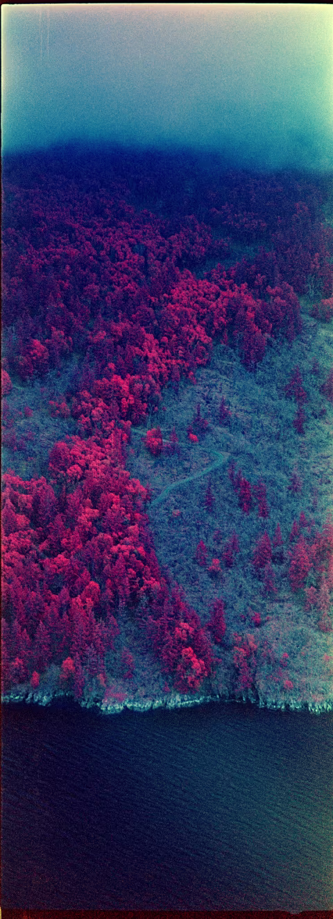 Kodak Aerochrome with Hasselbland XPan.