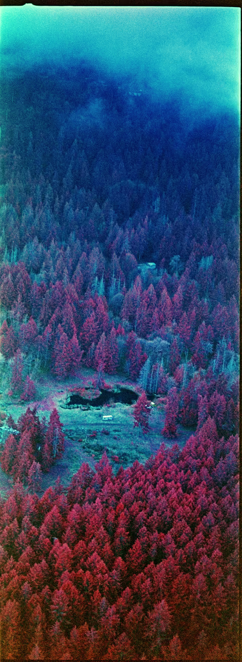 Kodak Aerochrome with Hasselbland XPan.