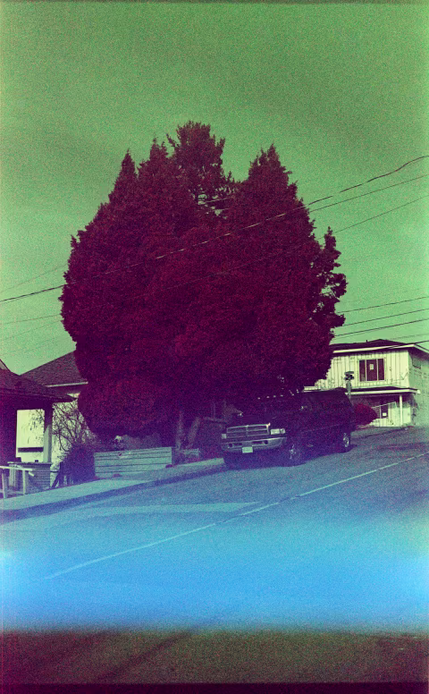 The first successful greenscaled Aerochrome film frame.