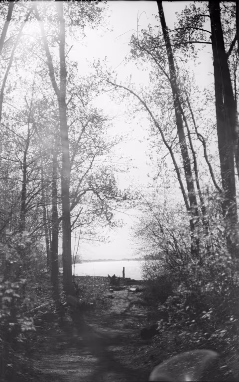 Flares and swirling on Lomography Fantôme Kino 8 with Voigtländer Vitessa A, developed in Rodinal 1+50. No contrast adjustments on this photo.