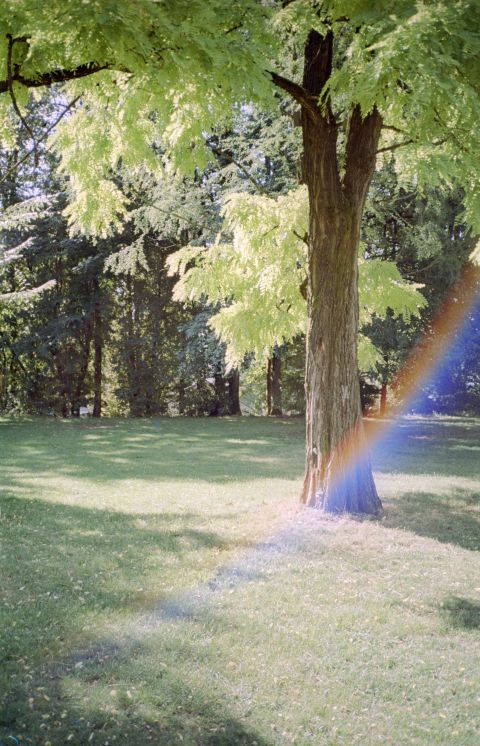 Small image.