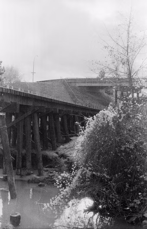 Ilford HP5+ shot at EI 3. Rodinal 1:25 for 4min. Some contrast adjustments.