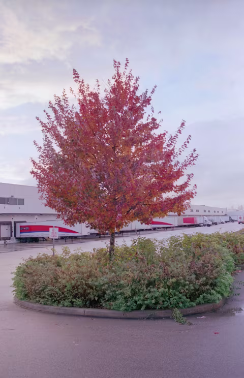 The Canada Post strike is delaying product shipments — including ones from Flic Film, Reveni Labs, Camera Traders, and…