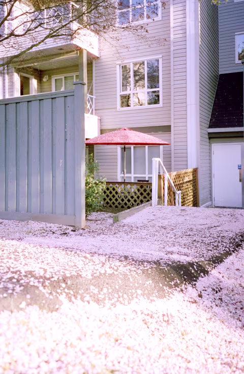 CineStill 50D with Minolta TC-1.