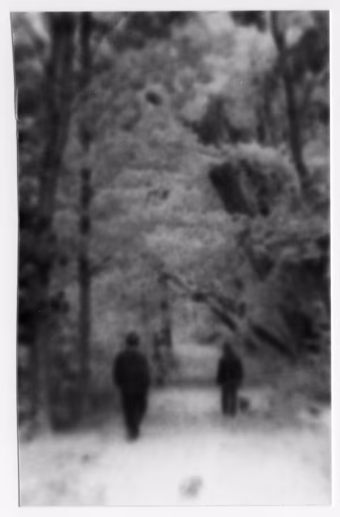 Forest walk. Eenlarged on cut Flic Film 4×5 paper and developed with Rodinal.