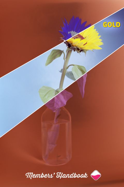 Small image.