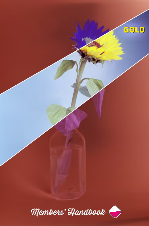 Small image.