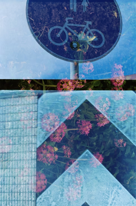 Large image.