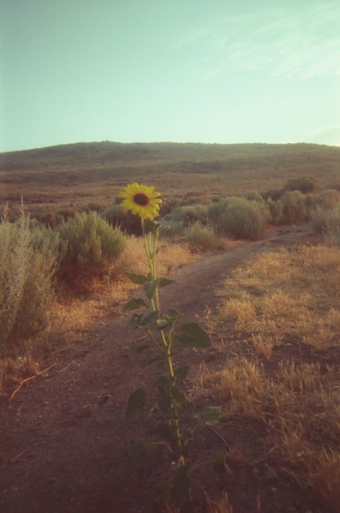 Antelope Island.