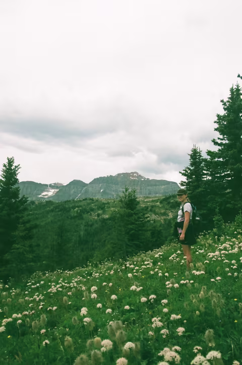 The wildflowers are beautiful at Sunshine Village in the summertime.