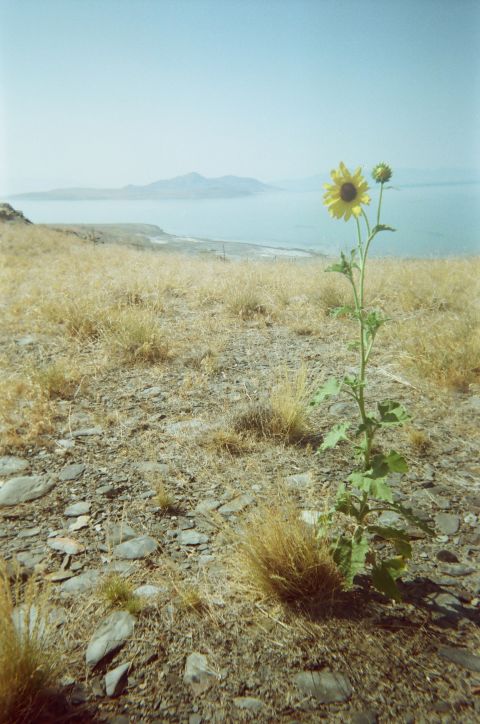 Looking South towards Antelope Island, Fremont Island.