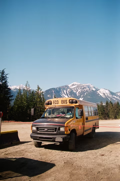Large image.