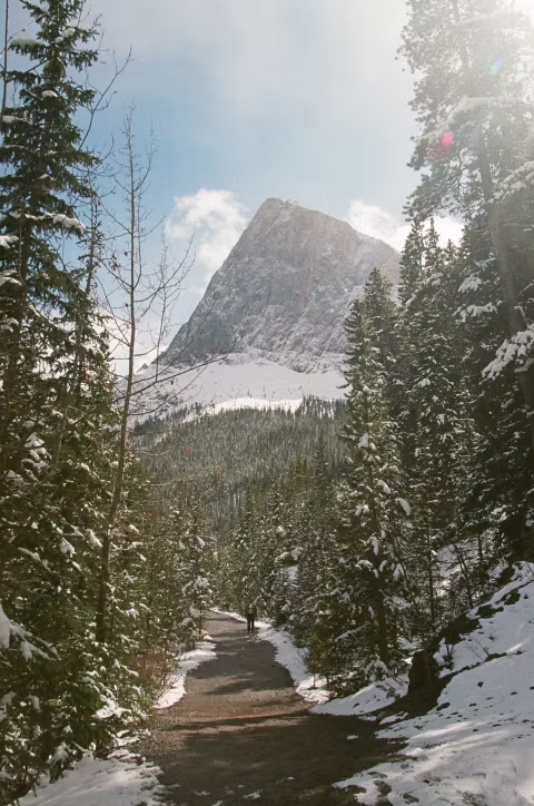 The thirty-minute walk up to Grassi Lakes.