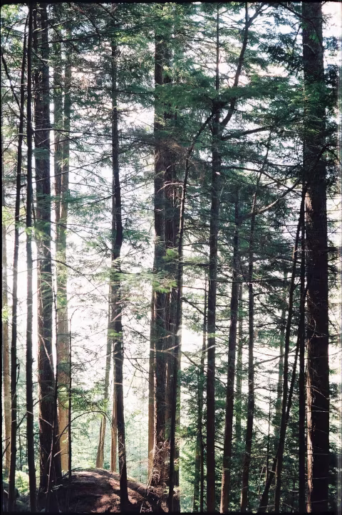 Small image.
