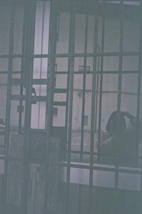 June 2019, using Fujicolor C200.