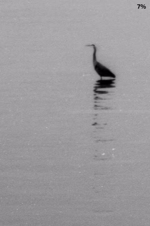 Adox CMS 20 II — 7% crop (14x zoom).