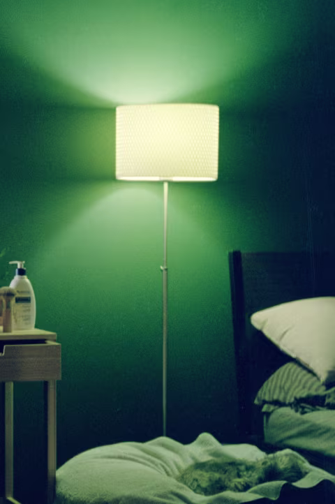 Indoor lighting with Kodak Pro Image 100 and Olympus Stylus Mju I.