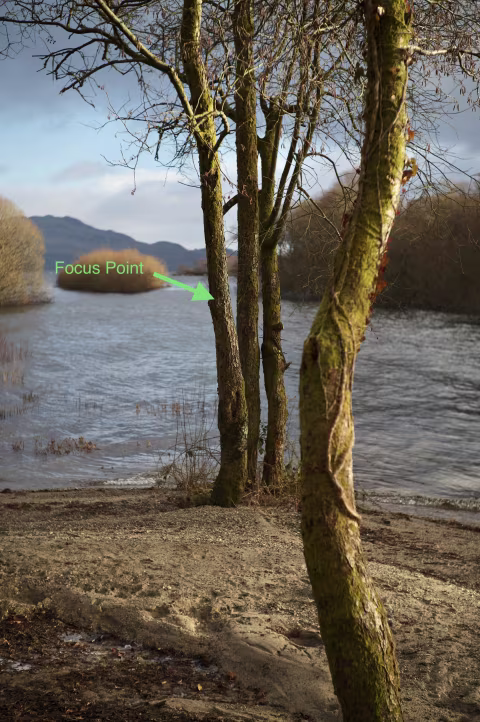 Here’s an example of a precision focus with the Bertele 50mm 𝒇2 MC FLB lens that wouldn’t be otherwise possible to get…