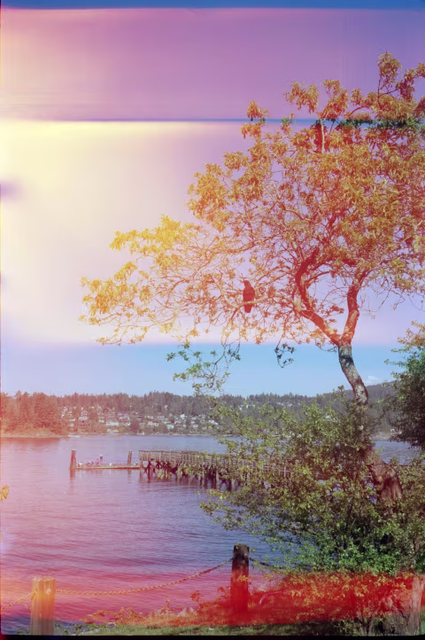 Orange light leaks in QL-17 GIII produce orange streaks on CineStill 400D film.