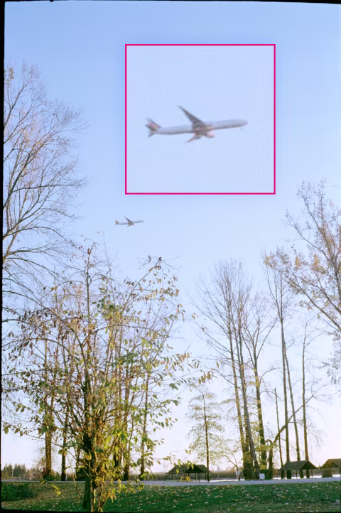 Olympus Trip 35 wtih Kodak ColorPlus. No sharpening applied.