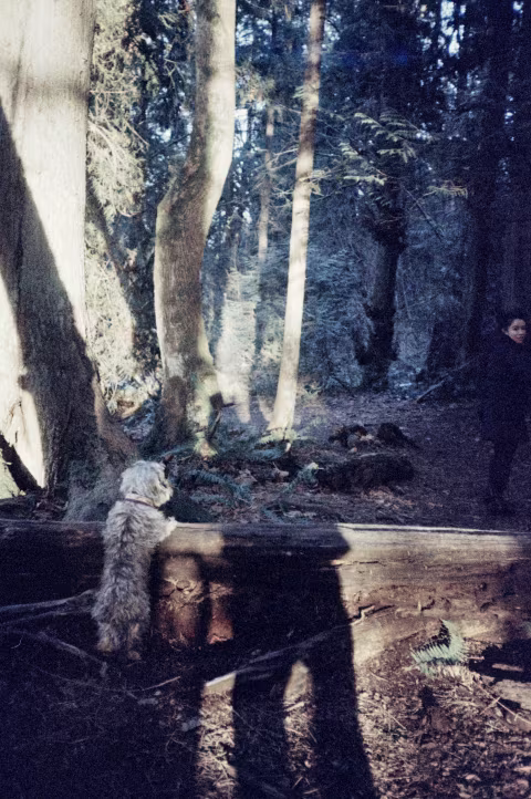 ORWO Wolfen NC 500 with Revue 35 CC.