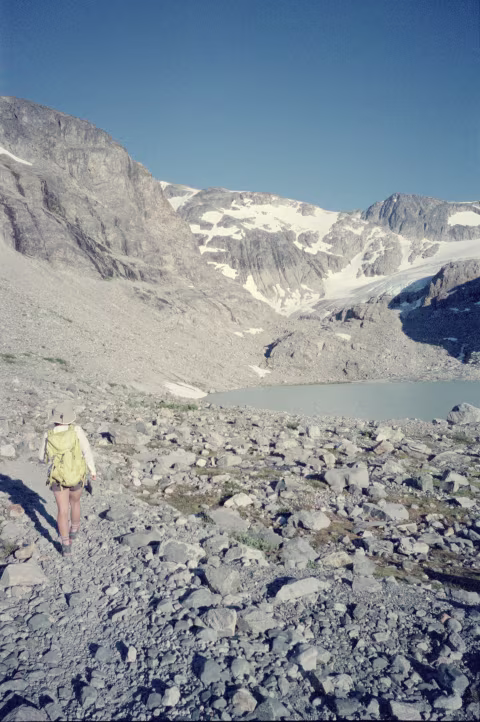 Fujifilm Natura 1600 in daylight (golden hour) with Minolta TC-1.