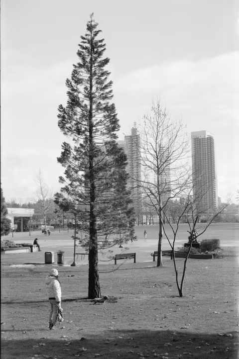 Kosmo Foto Mono 100 with Voigtländer Vitessa A.
