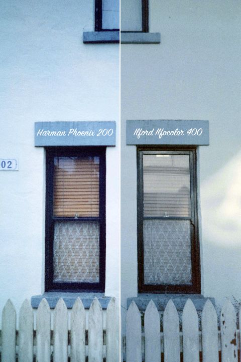 Tall windows on an old house. Shot with Olympus Mju I. The left half was exposed on Harman Phoenix 200; the right half was exposed on Ilford Ilfocolor 400.