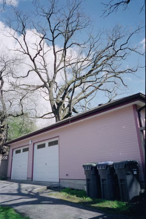 Adox Color Mission with Minolta TC-1.