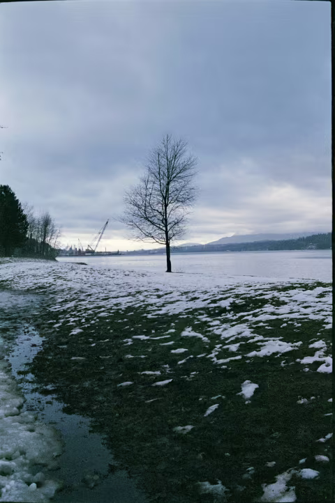 NONS 35mm 𝒇2.4 EF-mount manual lens with Fujifilm Superia X-Tra 400 . 