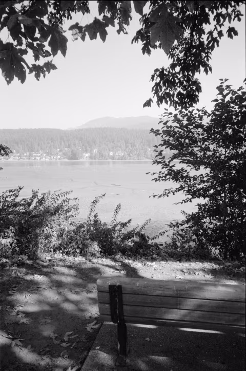 Ilford Delta 400 with Minolta TC-1. This photo is a good illustration of this film’s fantastic dynamic range.